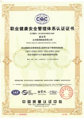 職業健康安全管理體系認證證書